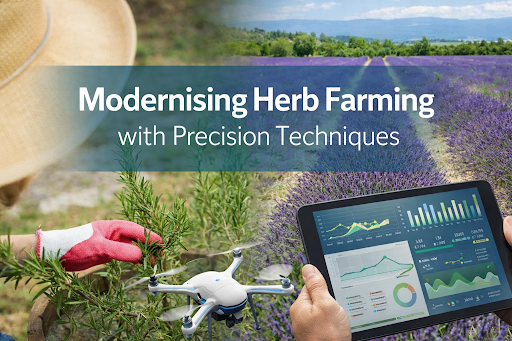 Modernising Herb Farming with Precision Techniques C4